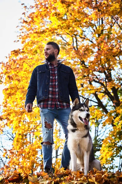 Hipster stylish guy with his husky dog in autumn forest.Pedigree dog concept. Best friends. Unconditional love. Guy enjoy walk with husky dog. Siberian husky cool pet. Animal husbandry. Selective focu