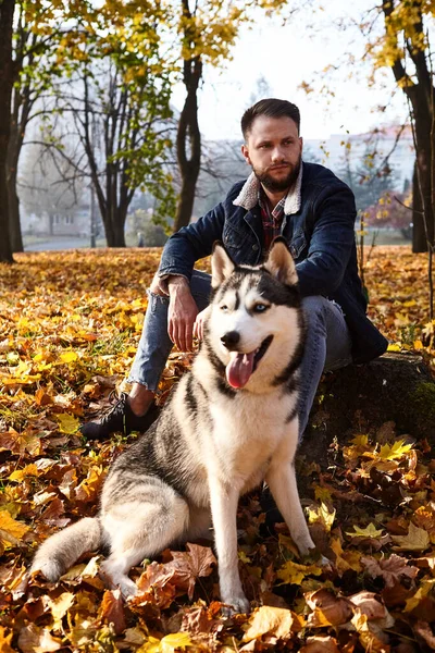 Hipster stylish guy with his husky dog in autumn forest.Pedigree dog concept. Best friends. Unconditional love. Guy enjoy walk with husky dog. Siberian husky cool pet. Animal husbandry. Selective focu
