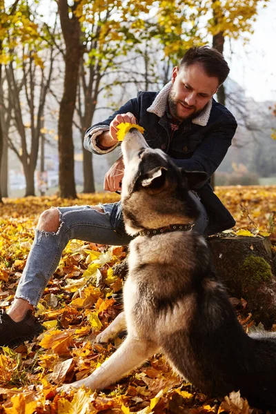 Hipster stylish guy with his husky dog in autumn forest.Pedigree dog concept. Best friends. Unconditional love. Guy enjoy walk with husky dog. Siberian husky cool pet. Animal husbandry. Selective focu