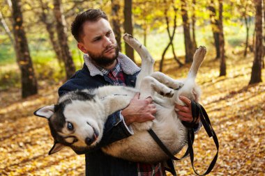 Hipster stili adam güz ormanında köpeğine sarılır. Soylu köpek konsepti. En iyi arkadaşlar. Koşulsuz sevgi. Adam köpeğiyle yürümekten hoşlanıyor. Sibirya Husky havalı evcil hayvanı. Hayvancılık..