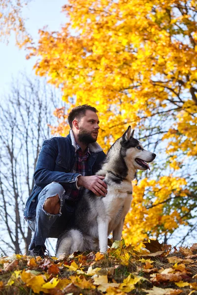 Hipster stylish guy with his husky dog in autumn forest.Pedigree dog concept. Best friends. Unconditional love. Guy enjoy walk with husky dog. Siberian husky cool pet. Animal husbandry. Selective focu