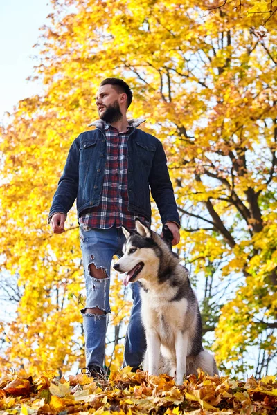 Hipster stylish guy with his husky dog in autumn forest.Pedigree dog concept. Best friends. Unconditional love. Guy enjoy walk with husky dog. Siberian husky cool pet. Animal husbandry. Selective focu