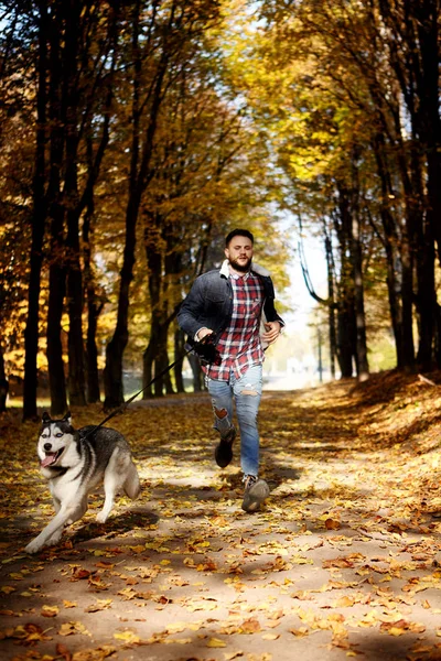 Hipster stylish guy with his husky dog in autumn forest.Run .Dynamic.Pedigree dog concept. Best friends. Unconditional love. Guy enjoy walk with husky dog. Siberian husky cool pet. Animal husbandry. S