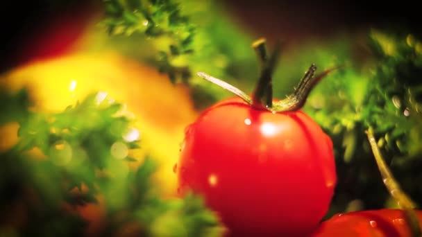 Frische Tomaten sind steil. schöne Tomaten. Tomaten mit tropfendem Wasser. — Stockvideo