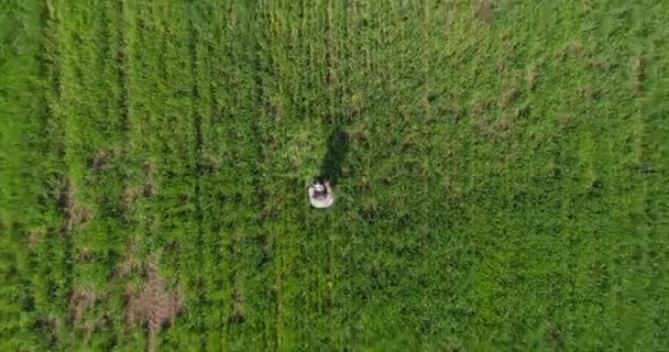  couple amoureux sur un champ vert et jaune 