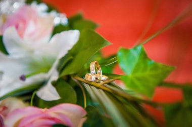  Gelin ve damat çiçekleri üzerinde asılı halkaları. Öznitelik yeni evliler. Değerli taşlar ile altın yüzük.