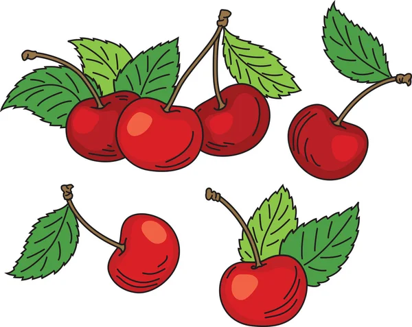 Cerezas rojas maduras con hojas verdes . — Vector de stock