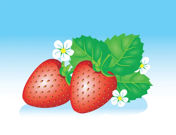 Kreskówka czerwony dojrzałe truskawki z zielone liście i białe kwiaty. — Wektor stockowy