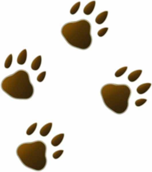 야 수의 4 개의 갈색 만화 발자국 추적 곰 호랑이. — 스톡 벡터