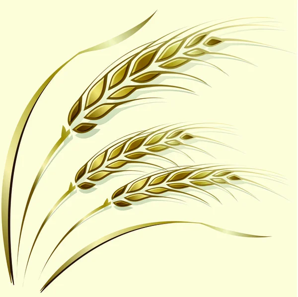 Wheat ears frame, border or corner element. — Stock Vector