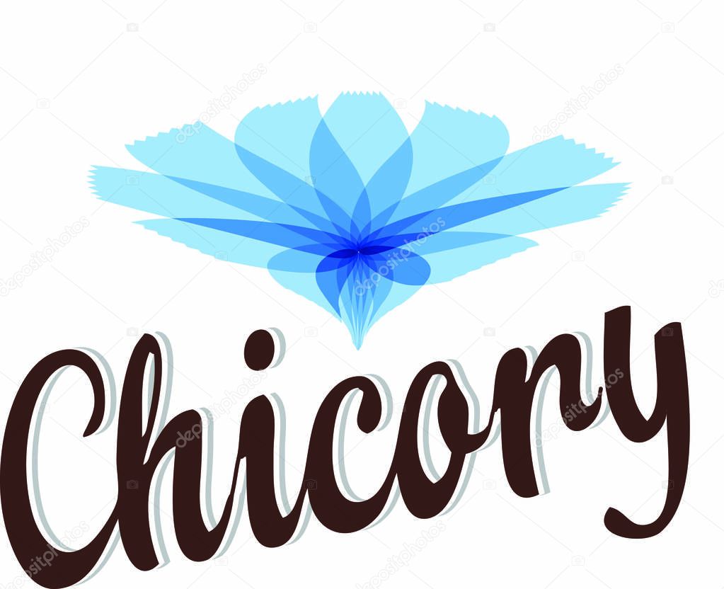 Chicory flower symbolic image. Vector Illustration logo or icon 