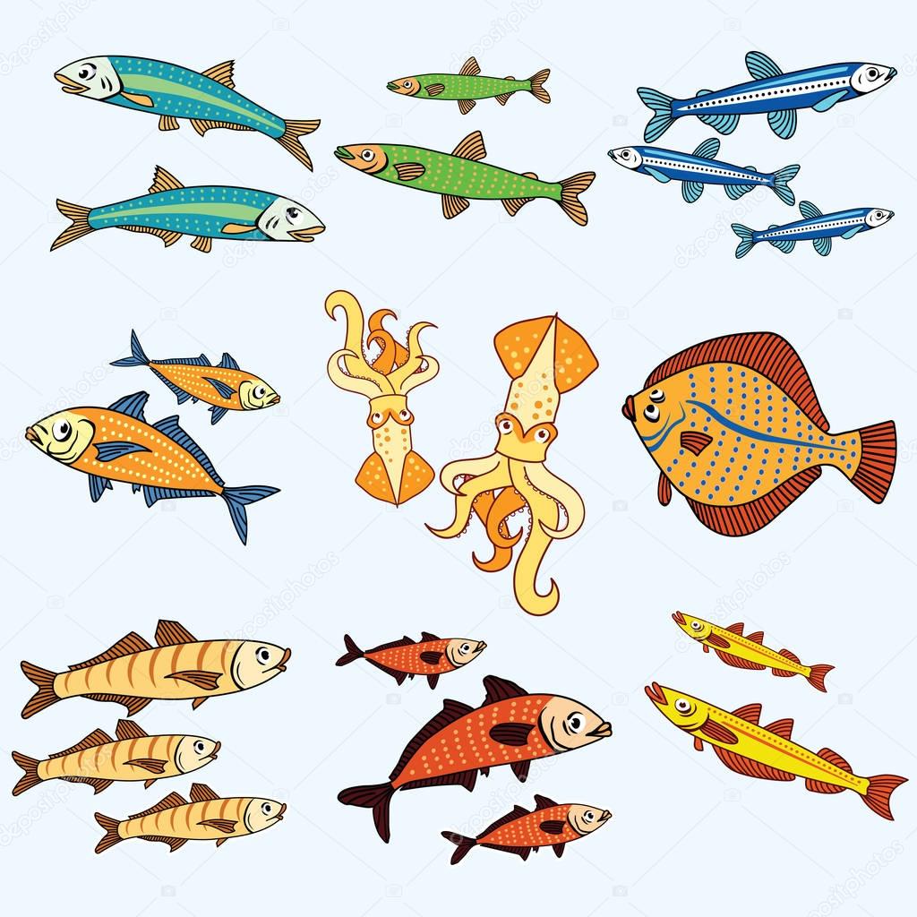 Set of vector color cartoon sea fishes and squid.