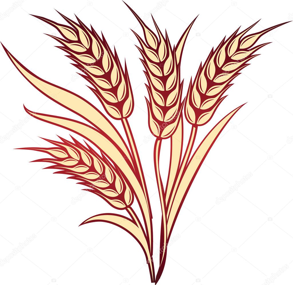 Wheat ears frame, border or corner element.