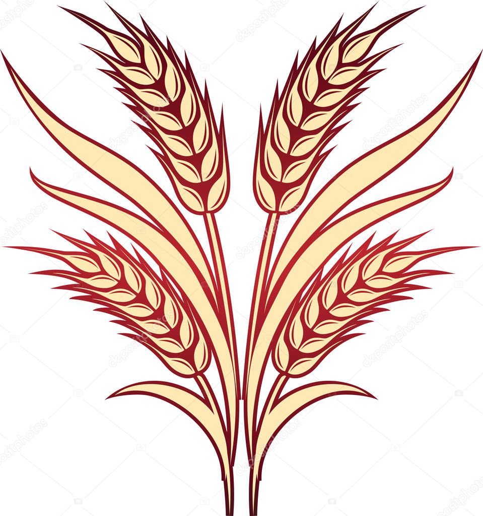 Gold ripe wheat ears as logo or icon template.