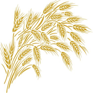 Buğday kulakları çerçeveyi, kenarlık veya köşe öğesi.