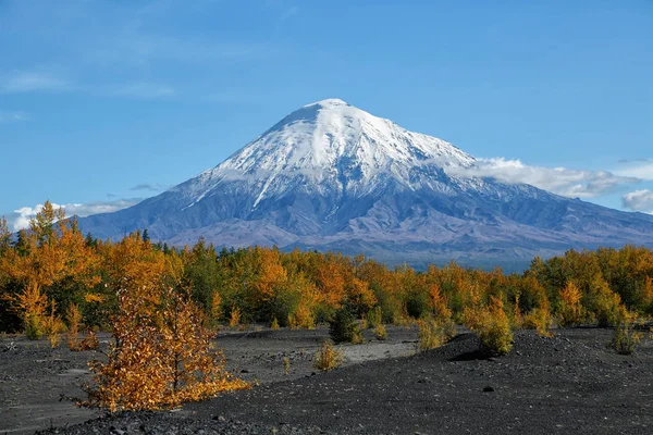 Вулкан Остри Толбачик. (3682m) Россия, Дальний Восток, Камчатский полуостров . — стоковое фото