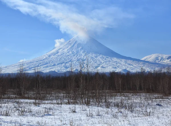 Вулкан Ключевской сопки. (4800 м) - самый высокий действующий вулкан Евразии . — стоковое фото
