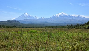  Rusya, Uzak Doğu. Volkan Kamchatka.Klyuchevsky grubun doğasına
