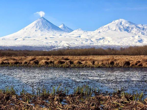 Penisola di Kamchatka. Russia. Kluchevskaya gruppo di vulcani . — Foto Stock