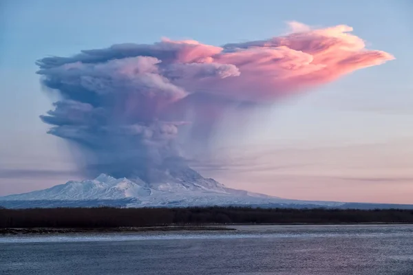 Извержение Вулкана Рассвете Dec 2017 Russia Kamchatka Mountain Вулкан Шивелух — стоковое фото