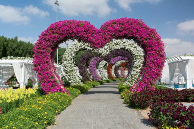Dubai, Birleşik Arap Emirlikleri - 8 Aralık 2016: Dubai mucize Bahçe dünyanın en büyük doğal Çiçek bahçesinde olduğunu.