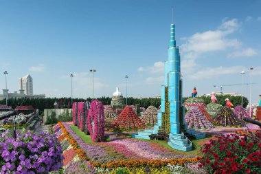 Dubai, Birleşik Arap Emirlikleri - 8 Aralık 2016: Dubai mucize Bahçe dünyanın en büyük doğal Çiçek bahçesinde olduğunu.