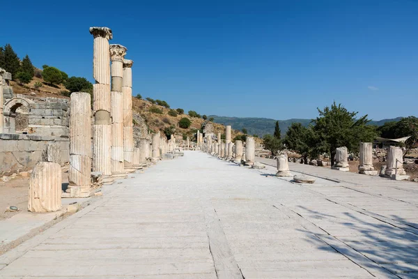 Sütunlar tipik Roma bazilika Efes, Türkiye'de.