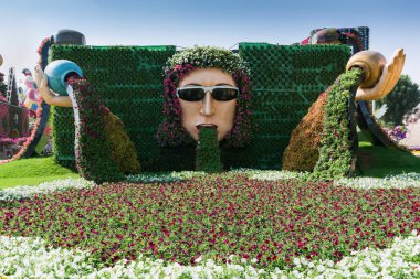 Dubai, Birleşik Arap Emirlikleri - 8 Aralık 2016: Dubai mucize Bahçe dünyanın en büyük doğal Çiçek bahçesinde olduğunu.