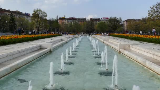 Sofia Bulgarie Avril 2018 Fontaines Devant Palais National Culture Sofia — Video