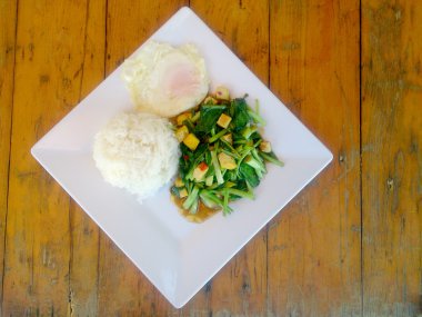 Fried Çince lahana ile Tofu beyaz tabak içinde karıştırın. Vejetaryen yiyecekler, sağlıklı gıda.