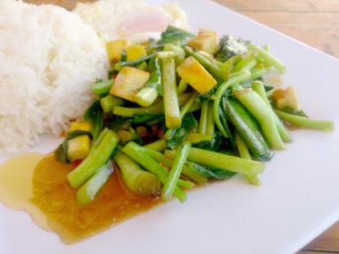 Fried Çince lahana ile Tofu beyaz tabak içinde karıştırın. Vejetaryen yiyecekler, sağlıklı gıda.