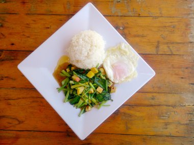 Fried Çince lahana ile Tofu beyaz tabak içinde karıştırın. Vejetaryen yiyecekler, sağlıklı gıda.