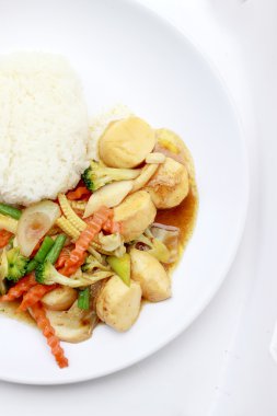 Karıştırın kızarmış Tofu Çin tarzı, derin kızarmış Tofu ile et suyu sosu, tofu beyaz arka plan üzerinde beyaz plaka karışık sebze ile karıştırın kızarmış. Vejetaryen yiyecekler, sağlıklı gıda.