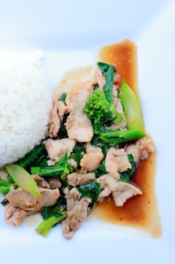 Beyaz arka plan, Tayland gıda üzerinde beyaz tabak pirinç soslu domuz eti ile tavada kızartılmış brokoli.