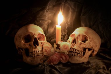 Natürmort kafatası ve orkide cins ahşap dak arka plan ile gece zamanında