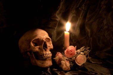 Natürmort kafatası ve orkide cins ahşap dak arka plan ile gece zamanında