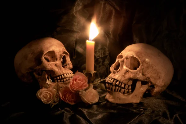 Naturaleza muerta con cráneo y orquídea en madera en la noche con fondo oscuro — Foto de Stock