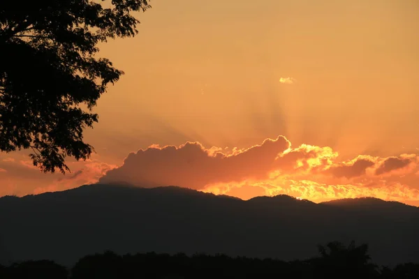 Nascer do sol bonito e pôr do sol fundo com árvores silhuetas pretas com céu laranja . — Fotografia de Stock