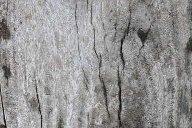 Ağaç kabuğunun doğal arkaplan olarak kullanımı