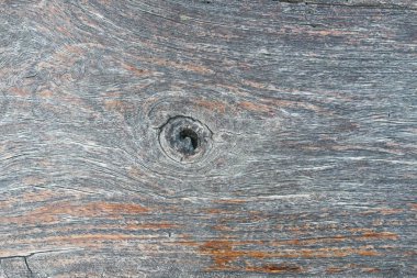 Ağaç kabuğunun doğal arkaplan olarak kullanımı