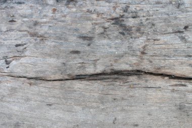 Ağaç kabuğunun doğal arkaplan olarak kullanımı