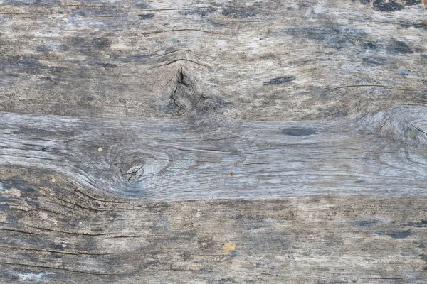 Textura do uso da madeira da casca como fundo natural — Fotografia de Stock