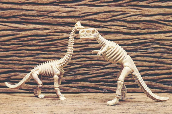 dinosaur bones on wooden background.