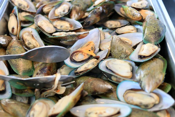 Moules Marinieres 화이트 소스와 레스토랑 지중해 해산물 — 스톡 사진