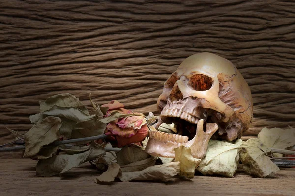 Still life painting photography with human skull and dry roses on old wooden background. — Stock Photo, Image