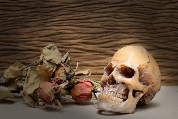 Stillleben-Malerei Fotografie mit menschlichem Schädel und trockenen Rosen auf altem Holzgrund. — Stockfoto