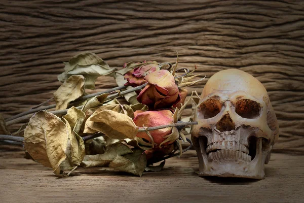 Fotografía Pintura Naturaleza Muerta Con Cráneo Humano Rosas Secas Sobre — Foto de Stock