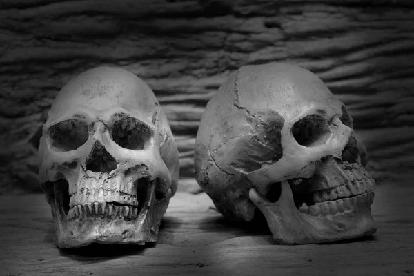 Still life fine art photography on human skeleton on wood log background. black and white photography.