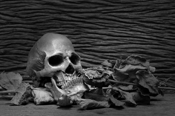 Старі Людські Черепи Купі Сухої Квітки Троянди Темну Ніч Красивому — стокове фото