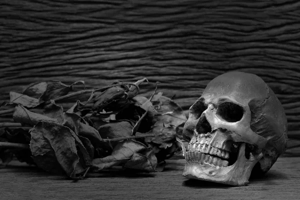 Old Human Skulls Pile Dried Rose Flower Dim Light Dark — Stock Photo, Image